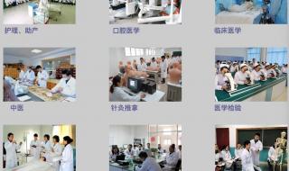 2023济南中考考试科目及分数 济南中考录取分数线