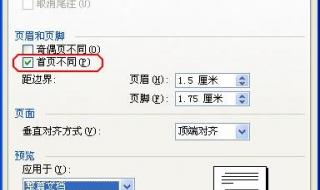 页码从第三页开始 页码从第三页开始