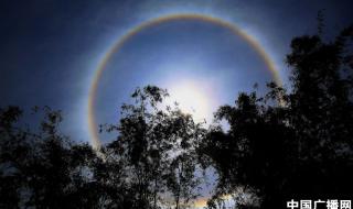 月晕代表什么天气 日晕代表什么预兆