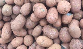 1立方陶粒多少包 1立方陶粒多少包