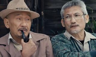 我的特工爷爷票房