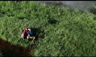 狗狗喜欢什么样子的窝 小黄狗的窝