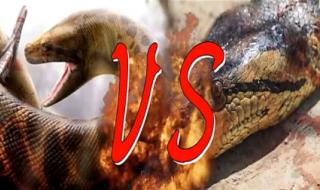 亚马逊河流震惊世界的超百米巨型蟒蛇是真的吗 亚马逊巨蟒