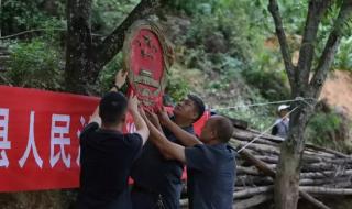 远处有9棵大树如果在相邻的两棵树之间再种一棵可以再种几棵棵树呢 我家门前有两棵树