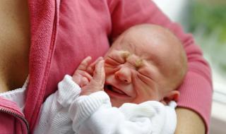 呼叫造句一年级 一起呼叫没有烦恼