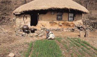 荣耀x50图库怎么设置到桌面 图库怎么恢复到桌面