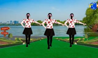 下载广场舞视频,质量好一点的,谁有网站.适合中老年人 中老年广场舞大全