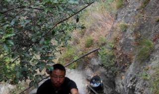 远方的家全部女主持人 远方的家边疆行全集