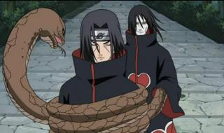 大蛇丸和鼬打是哪集 鼬vs大蛇丸第几集